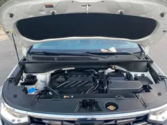 2021 Hyundai Custo 380TGDi LUX Premium, белый — фото 19