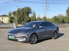 2024 BYD Qin PLUS Honor EV 510km Leading — фото 2