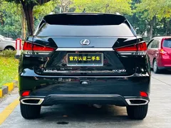2021 Lexus RX 300 4WD Special Edition, чёрный — фото 4