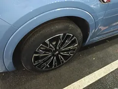 2023 Hongqi HS5 2.0T 4WD Pro, синий — фото 23