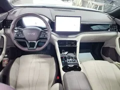 2025 BYD Song PLUS EV 520km Luxury, белый — фото 10
