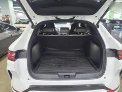 2025 BYD Song PLUS EV 520km Luxury, белый — фото 19