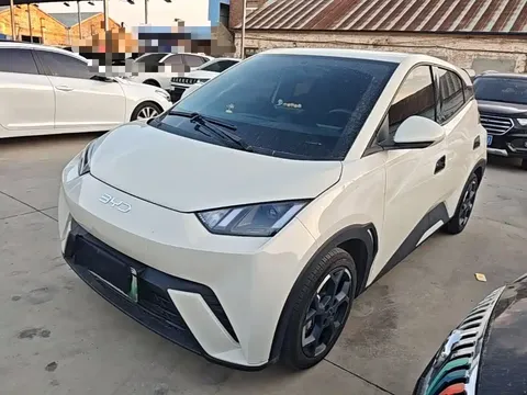 2025 BYD Seagull 305km Freedom