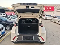 2025 BYD Seagull 305km Freedom, белый — фото 19
