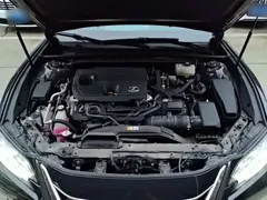 2021 Lexus ES 300h Hybrid Premium, чёрный — фото 20