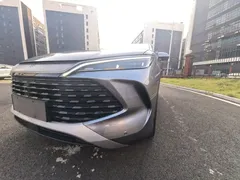2024 BYD Song L PHEV 112km Leading — фото 28