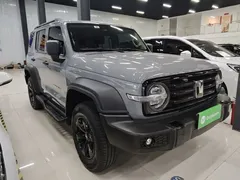 2021 Tank 300 Off-road 2.0T Conqueror — фото 4
