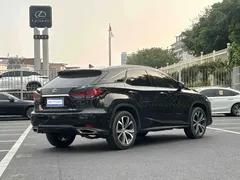 2021 Lexus RX 300 4WD Special Edition, чёрный — фото 7