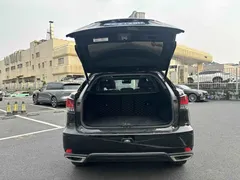 2021 Lexus RX 300 4WD Special Edition, чёрный — фото 14