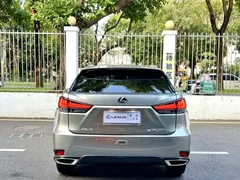 2021 Lexus RX 300 4WD Special Edition — фото 8