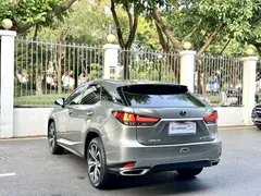 2021 Lexus RX 300 4WD Special Edition — фото 9