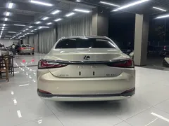 2021 Lexus ES 200 Excellence — фото 8
