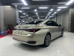 2021 Lexus ES 200 Excellence — фото 9