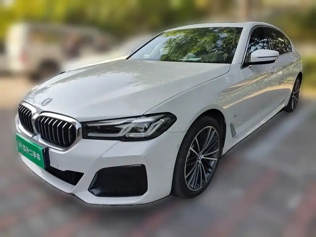 2021 BMW 5 Series 530Li Leading M Sport Package