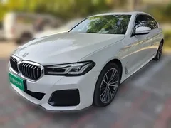 2021 BMW 5 Series 530Li Leading M Sport Package, белый — фото 1