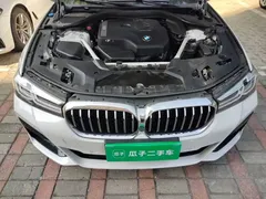 2021 BMW 5 Series 530Li Leading M Sport Package, белый — фото 16