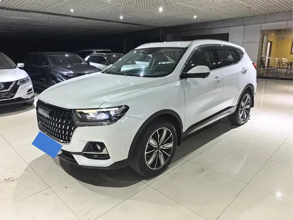 2023 Haval H6 1.5T AT Guochao Champion