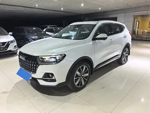 2023 Haval H6 1.5T AT Guochao Champion