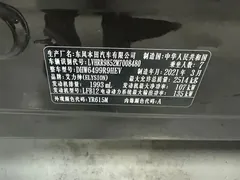 2019 Honda Elysion 2.0L Hybrid Luxury — фото 17