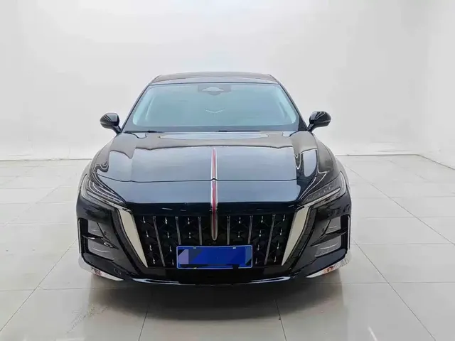 2024 Hongqi H6 2.0T Zhizhen