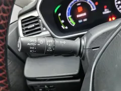 2022 Honda Elysion 2.0L e:HEV Hybrid Luxury, белый — фото 21