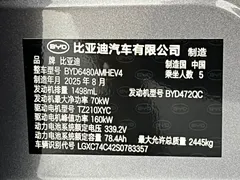 2025 BYD Sealion 06 DM-i PHEV 205 Pro — фото 24