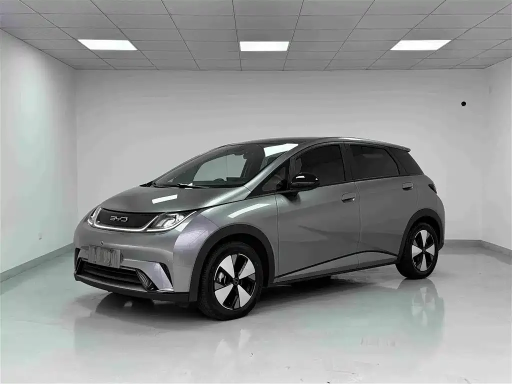 2023 BYD Dolphin 420km Fashion