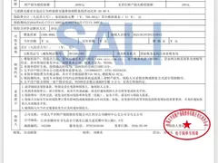 2024 BYD Qin PLUS Honor DM-i PHEV 55km Leading — фото 13