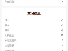 2024 BYD Qin PLUS Honor DM-i PHEV 55km Leading — фото 14