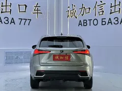 2020 Lexus NX 200 2WD — фото 5