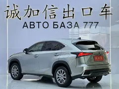 2020 Lexus NX 200 2WD — фото 6