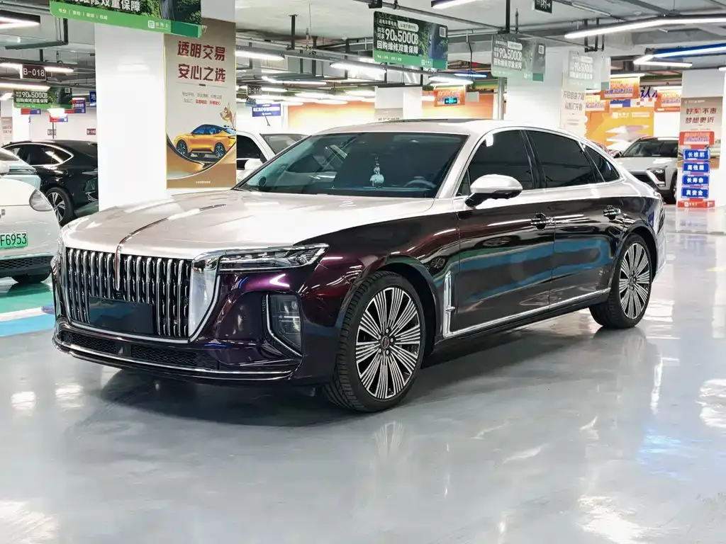 2025 Hongqi H9 2.0T 2WD Qixiang Luxury Business 5