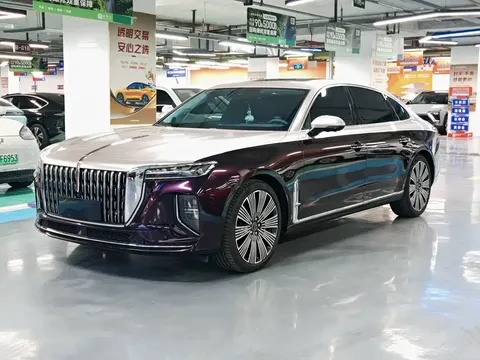2025 Hongqi H9 2.0T 2WD Qixiang Luxury Business 5