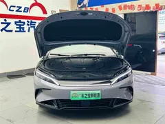 2025 BYD Han EV 605km Premium — фото 27