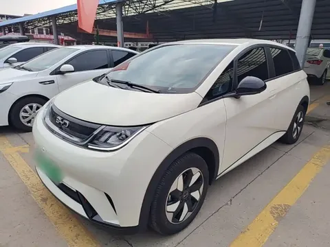 2025 BYD Dolphin 420km Freedom