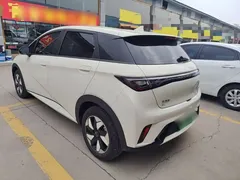2025 BYD Dolphin 420km Freedom, белый — фото 5