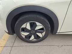 2025 BYD Dolphin 420km Freedom, белый — фото 23