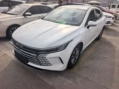 2024 BYD Destroyer 05 DM-i PHEV 55km Luxury, белый — фото 1