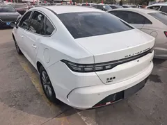 2024 BYD Destroyer 05 DM-i PHEV 55km Luxury, белый — фото 5