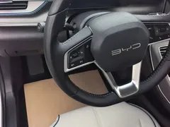 2024 BYD Destroyer 05 DM-i PHEV 55km Luxury, белый — фото 8