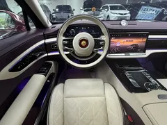 2024 Hongqi Guoya Golden Sunflower 4.0T V8, чёрный — фото 13