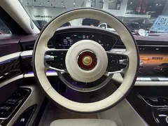 2024 Hongqi Guoya Golden Sunflower 4.0T V8, чёрный — фото 15