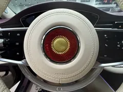 2024 Hongqi Guoya Golden Sunflower 4.0T V8, чёрный — фото 22