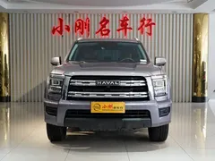 2023 Haval H5 2.0T AT 4WD Gasoline — фото 3