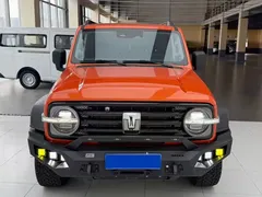 2021 Tank 300 Off-road 2.0T Conqueror — фото 2