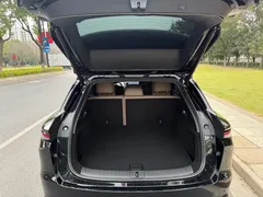 2025 Li Auto i6 2WD Standard, чёрный — фото 12