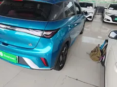 2021 BYD Dolphin 405km Fashion, синий — фото 8