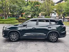 2024 Chery Tiggo 8 Pro Champion 290T 2WD 5-seat, зелёный — фото 11