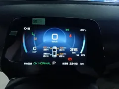 2024 BYD Yuan PLUS EV 510km Honor Superior — фото 14