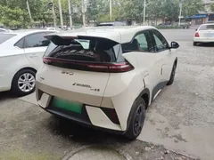 2025 BYD Seagull EV 305km, белый — фото 7